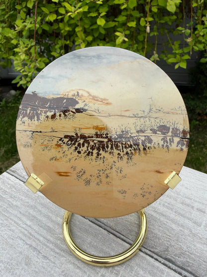 Wholesale Lot Natural Picture Jasper Slab with stand
