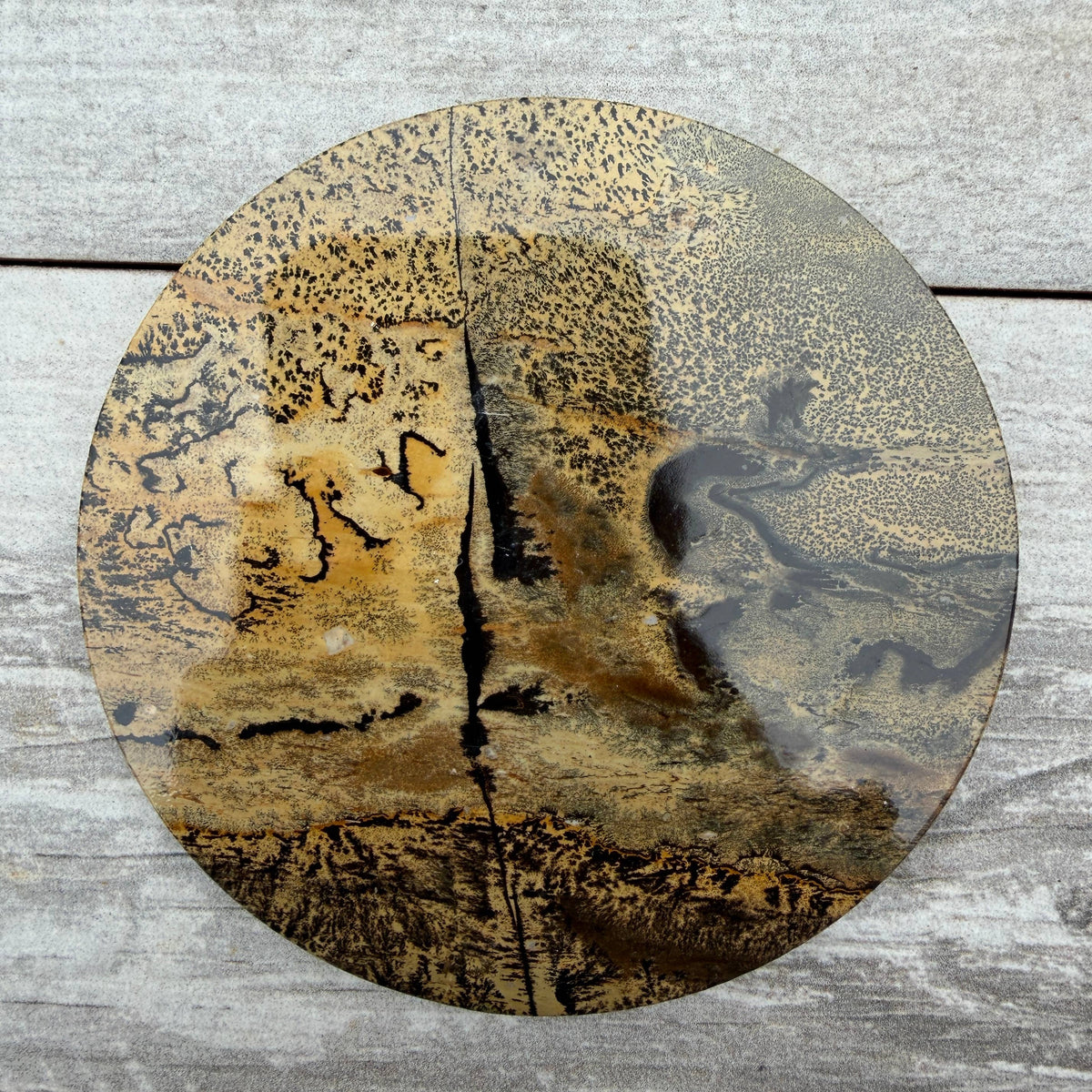 Wholesale Lot Natural Picture Jasper Slab with stand