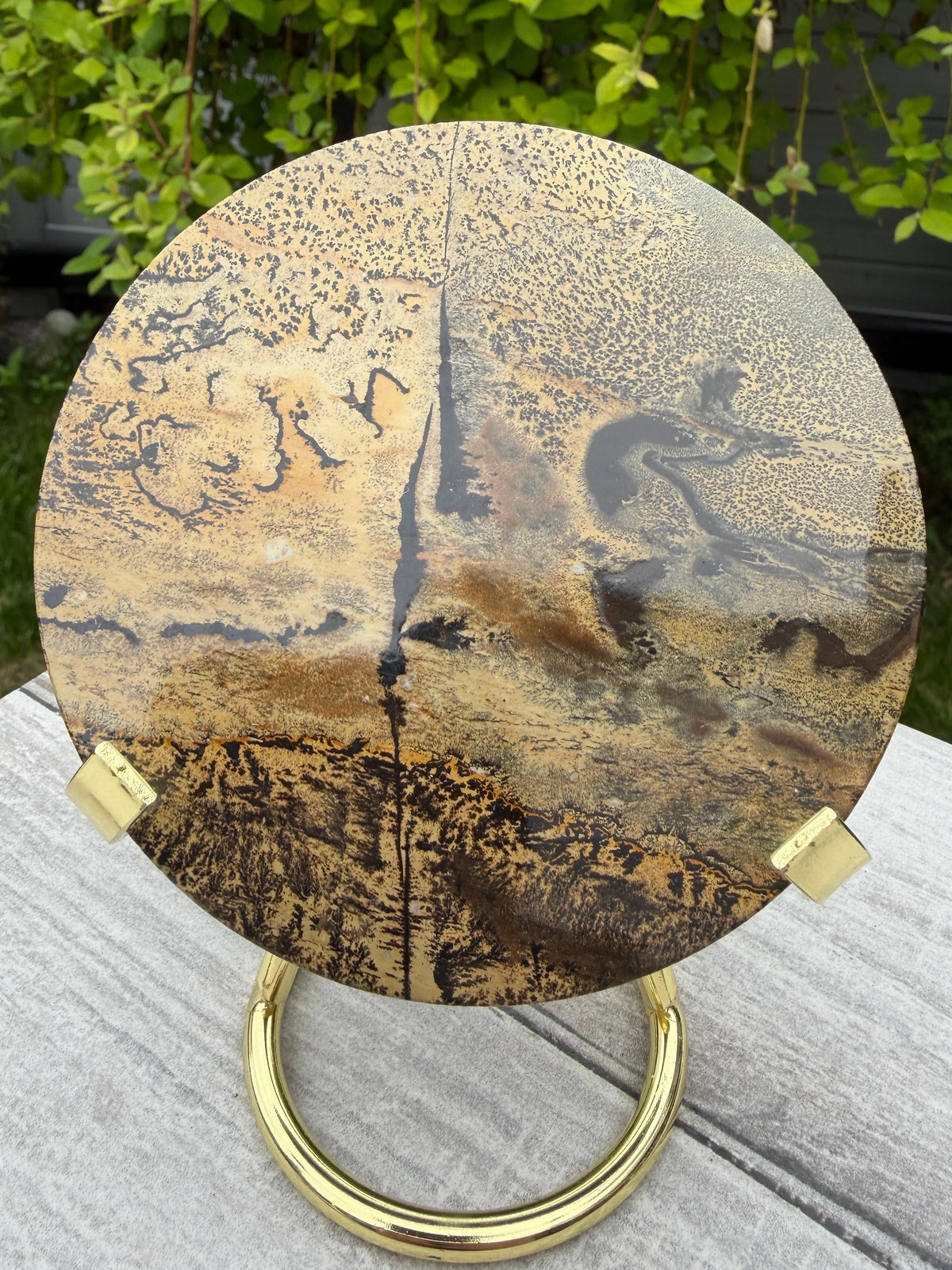 Wholesale Lot Natural Picture Jasper Slab with stand