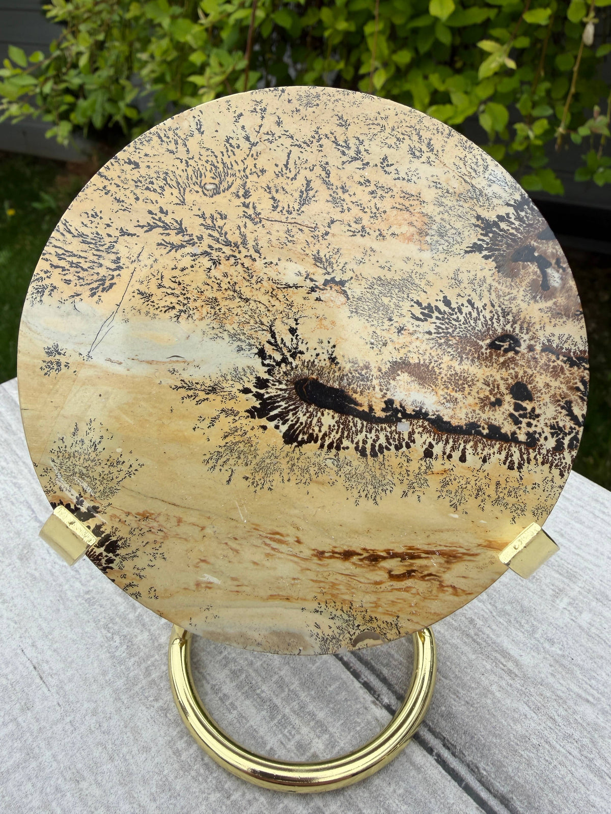Wholesale Lot Natural Picture Jasper Slab with stand
